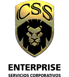 Logo CSS Enterprise